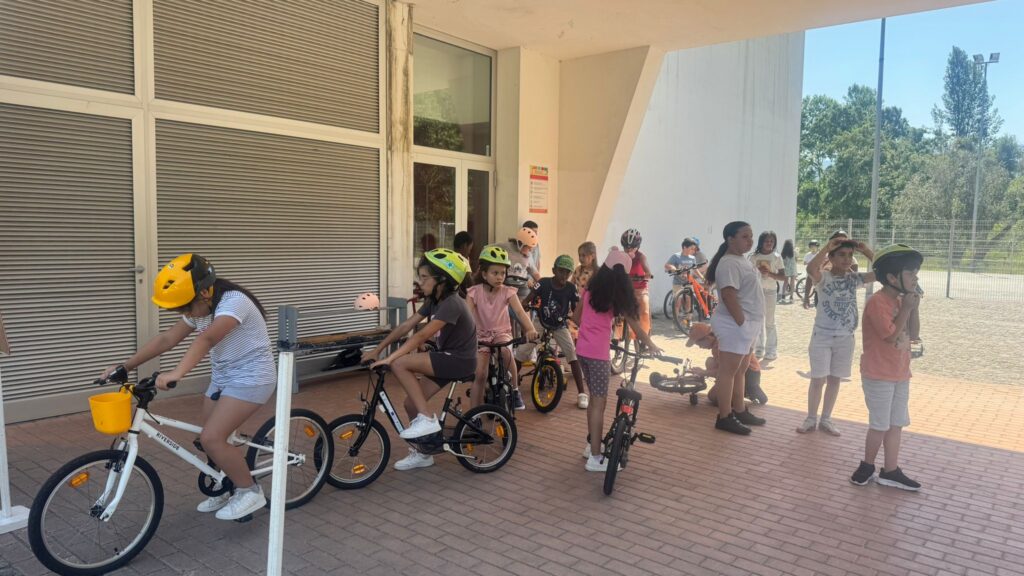 Circuito rodoviário - 3º Ano (2) - Paula Alexandra Oliveira Antunes