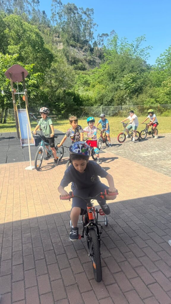 Circuito rodoviário - 3º Ano (3) - Paula Alexandra Oliveira Antunes