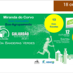 ECO-CONCELHO E ECO-AGRUPAMENTO