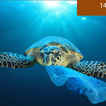 10 FORMAS DE CONTRIBUIR PARA SALVAR OS OCEANOS
