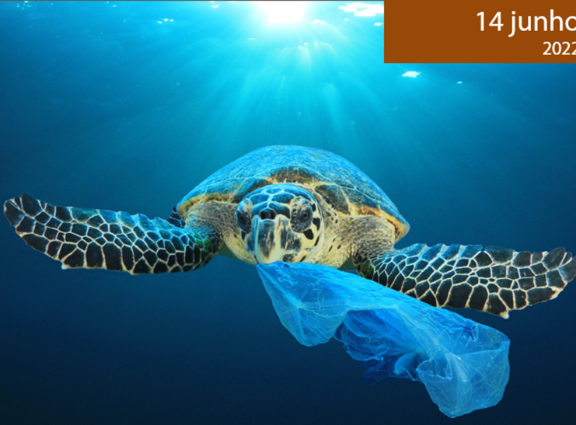 save_oceans