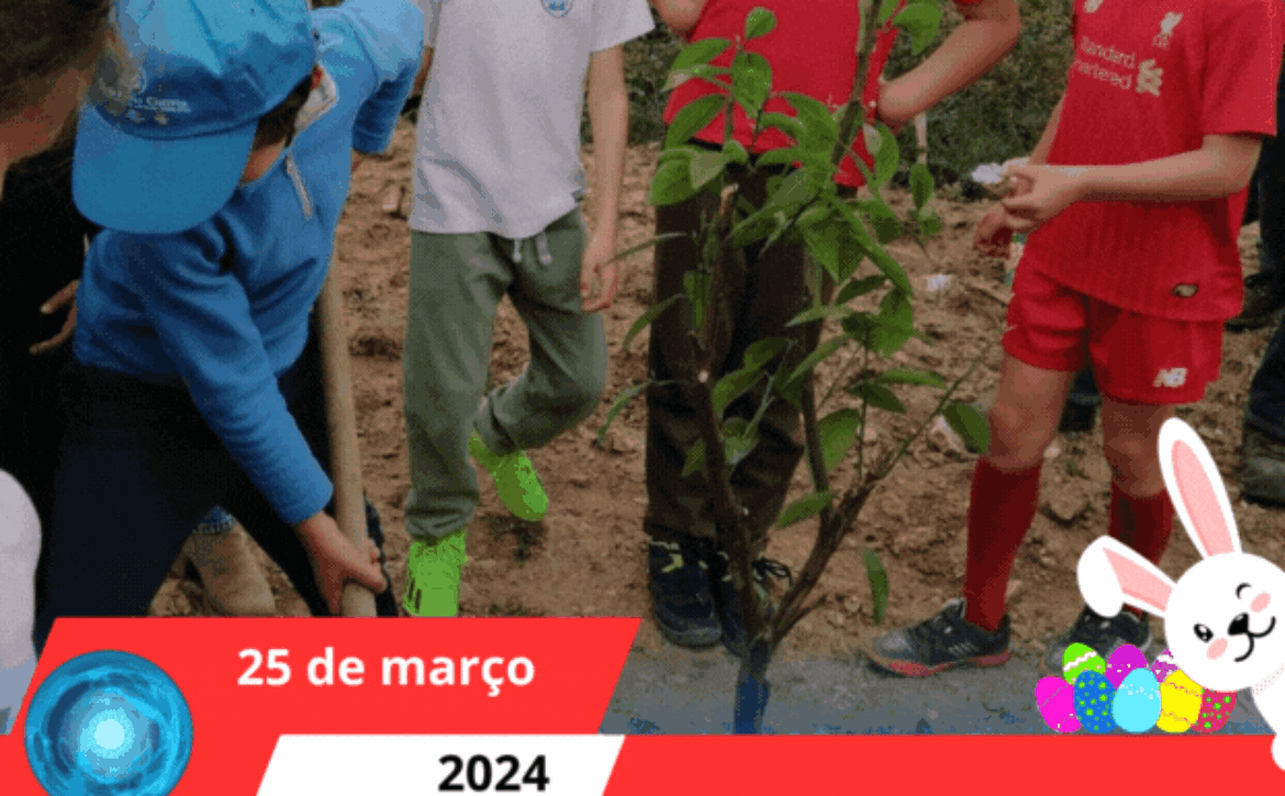 DIA INTERNACIONAL DAS FLORESTAS E DIA DA ÁRVORE