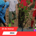 DIA INTERNACIONAL DAS FLORESTAS E DIA DA ÁRVORE