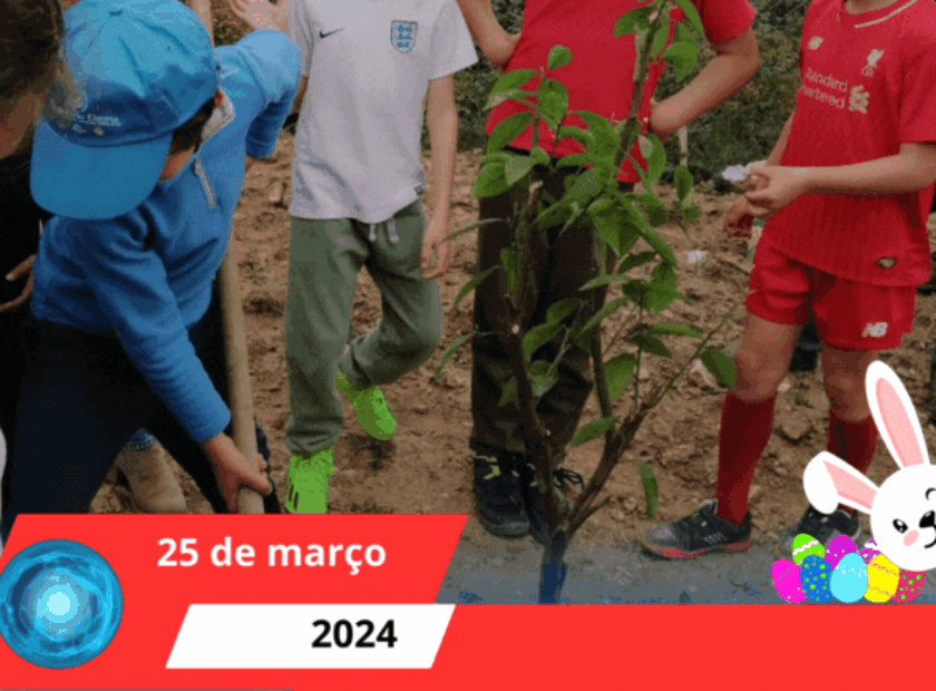 DIA INTERNACIONAL DAS FLORESTAS E DIA DA ÁRVORE