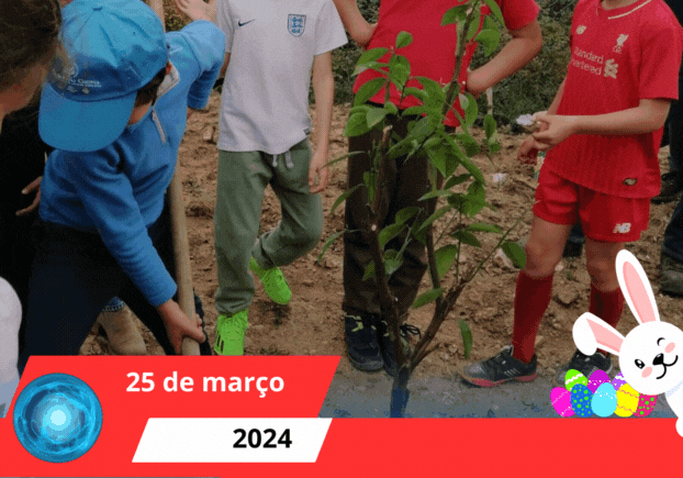 DIA INTERNACIONAL DAS FLORESTAS E DIA DA ÁRVORE