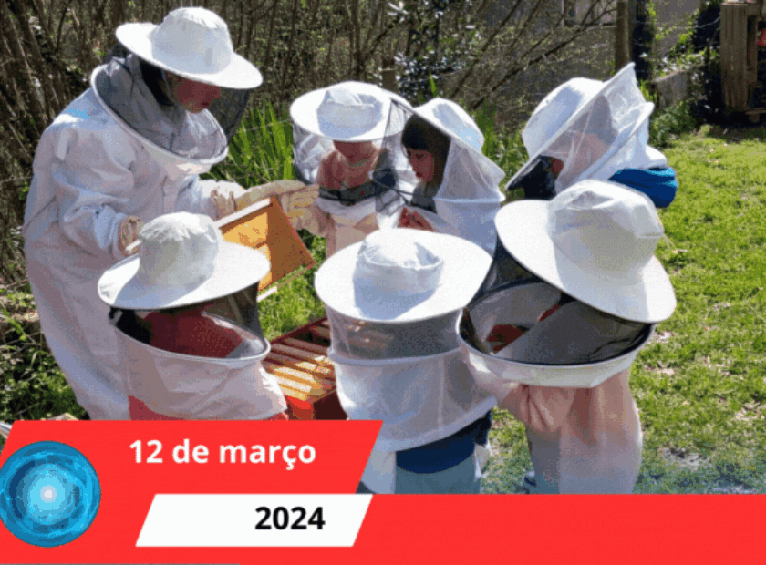 Visita de estudo à Escola do ambiente, em Poiares