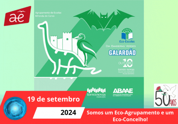 Concelho ECO ESCOLAS