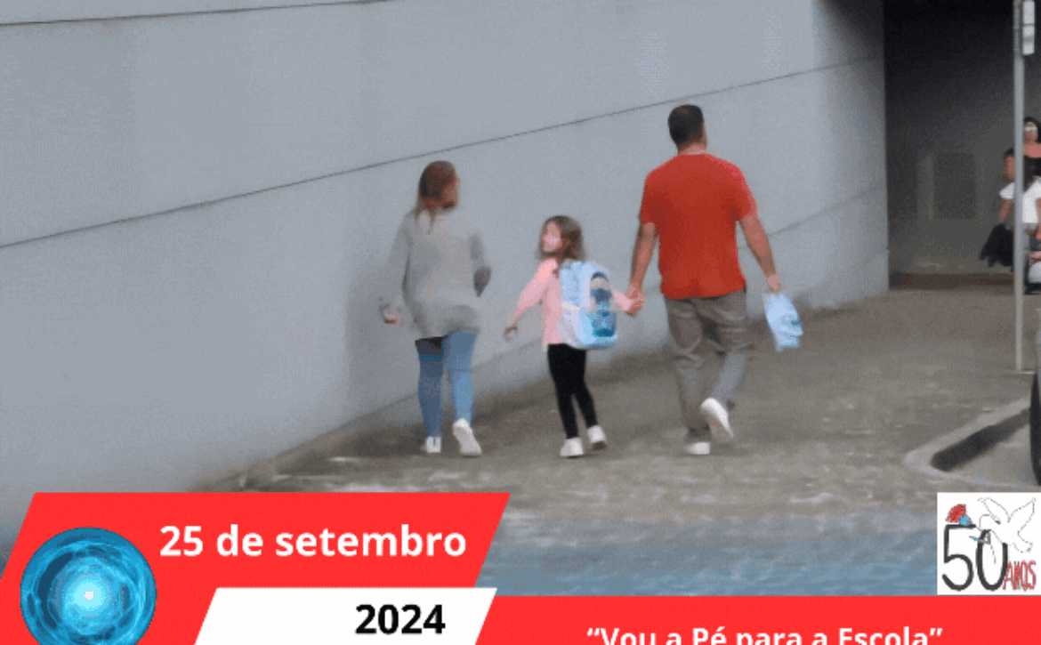 Cópia de Cópia de Concelho ECO ESCOLAS(2)