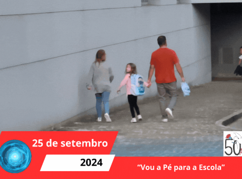 Cópia de Cópia de Concelho ECO ESCOLAS(2)