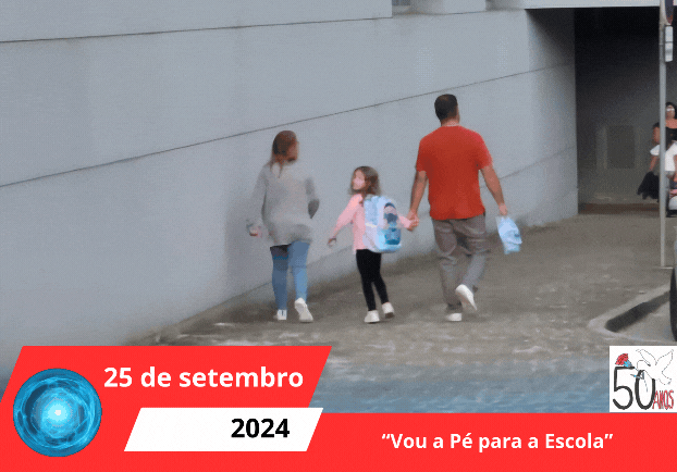 Cópia de Cópia de Concelho ECO ESCOLAS(2)