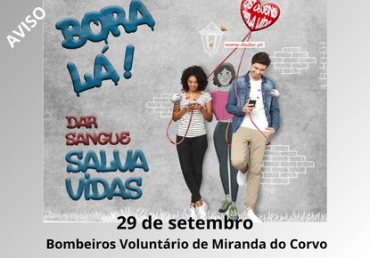 Cópia de Cópia de Cópia de AVISOS