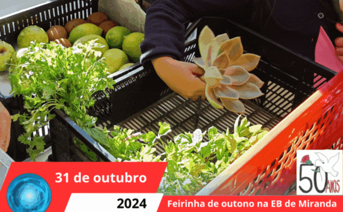 Feirinha de outono na EB de Miranda do Corvo