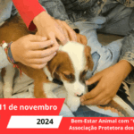 Bem-Estar Animal com "O Corvo - Associação Protetora dos Animais"