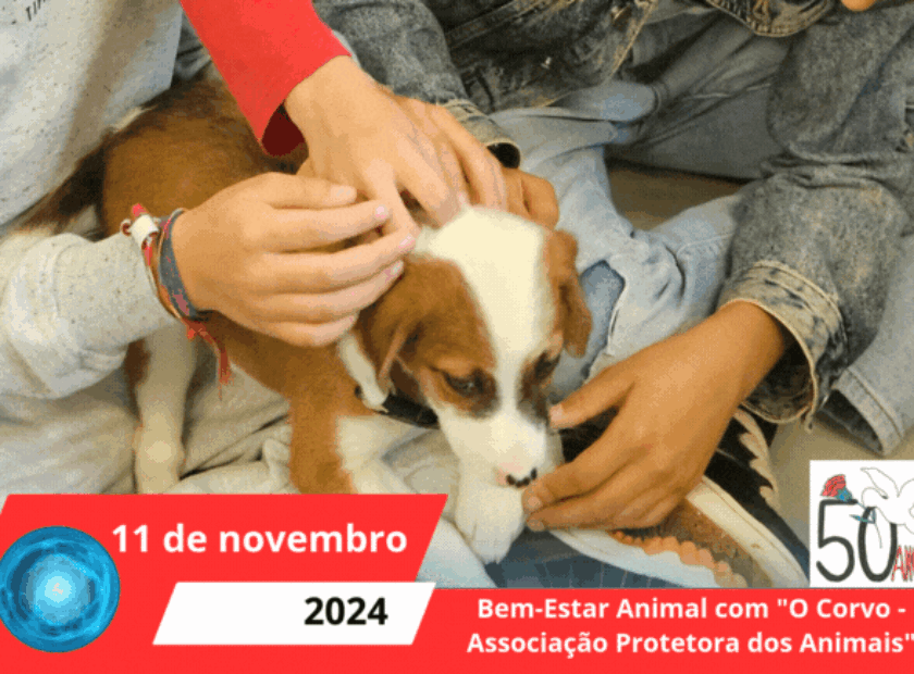 Visita aos BombeirBruxas, medos e Bruxados(4)