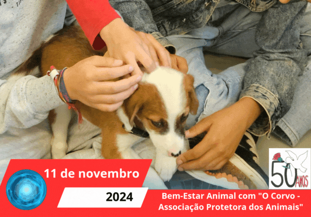 Visita aos BombeirBruxas, medos e Bruxados(4)