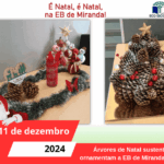 Árvores de Natal sustentáveis ornamentam a EB de Miranda do Corvo