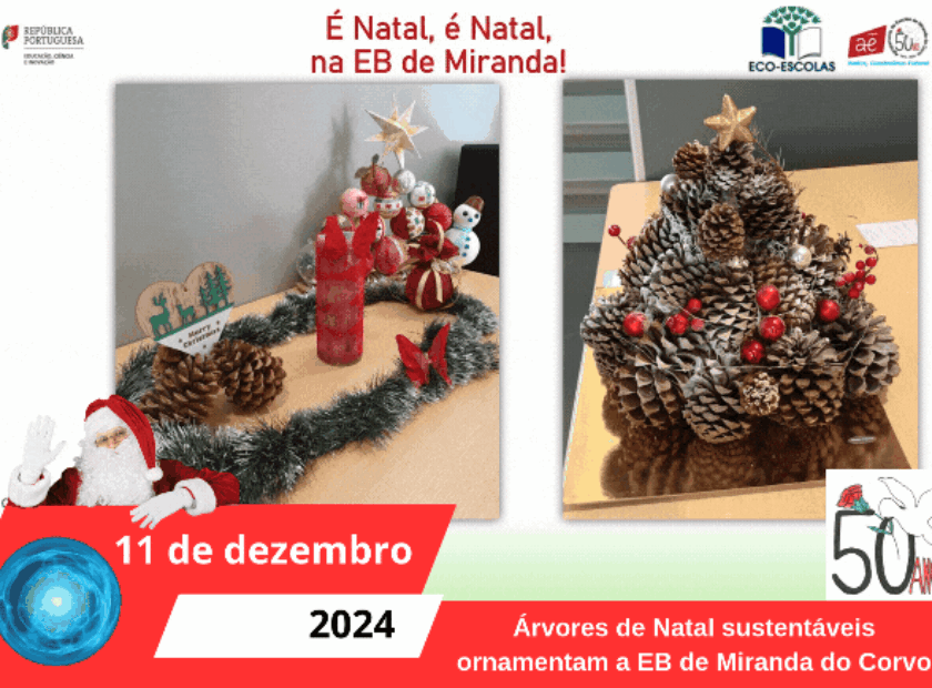 Árvores de Natal sustentáveis ornamentam a EB de Miranda do Corvo