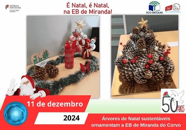 Árvores de Natal sustentáveis ornamentam a EB de Miranda do Corvo