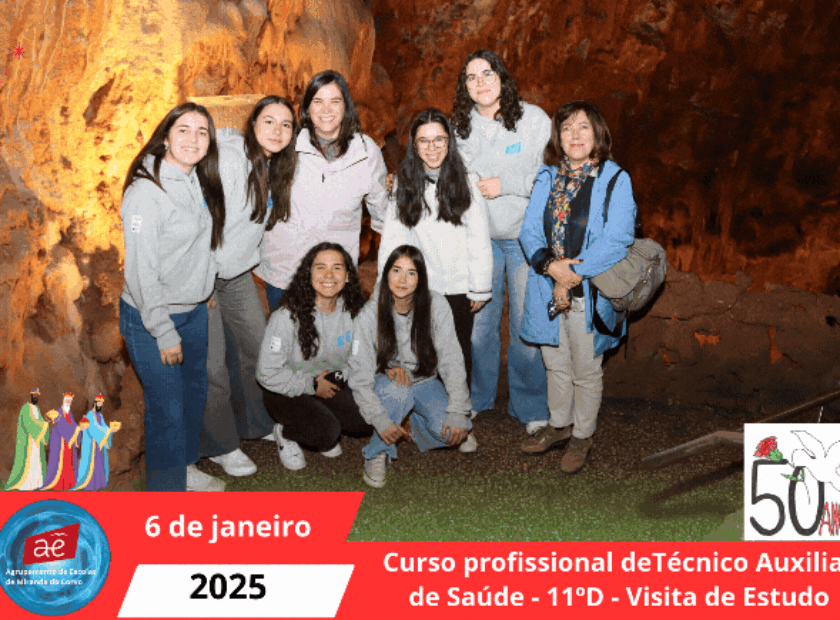 Curso profissional deTécnico Auxiliar de Saúde – 11ºD – Visita de Estudo