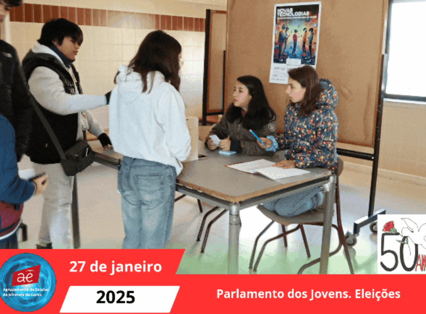 Parlamento dos Jovens. Eleições