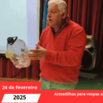 Armadilhas para vespas asiáticas