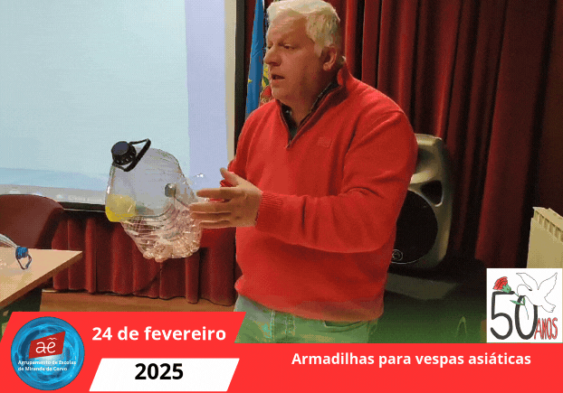 Armadilhas vespas