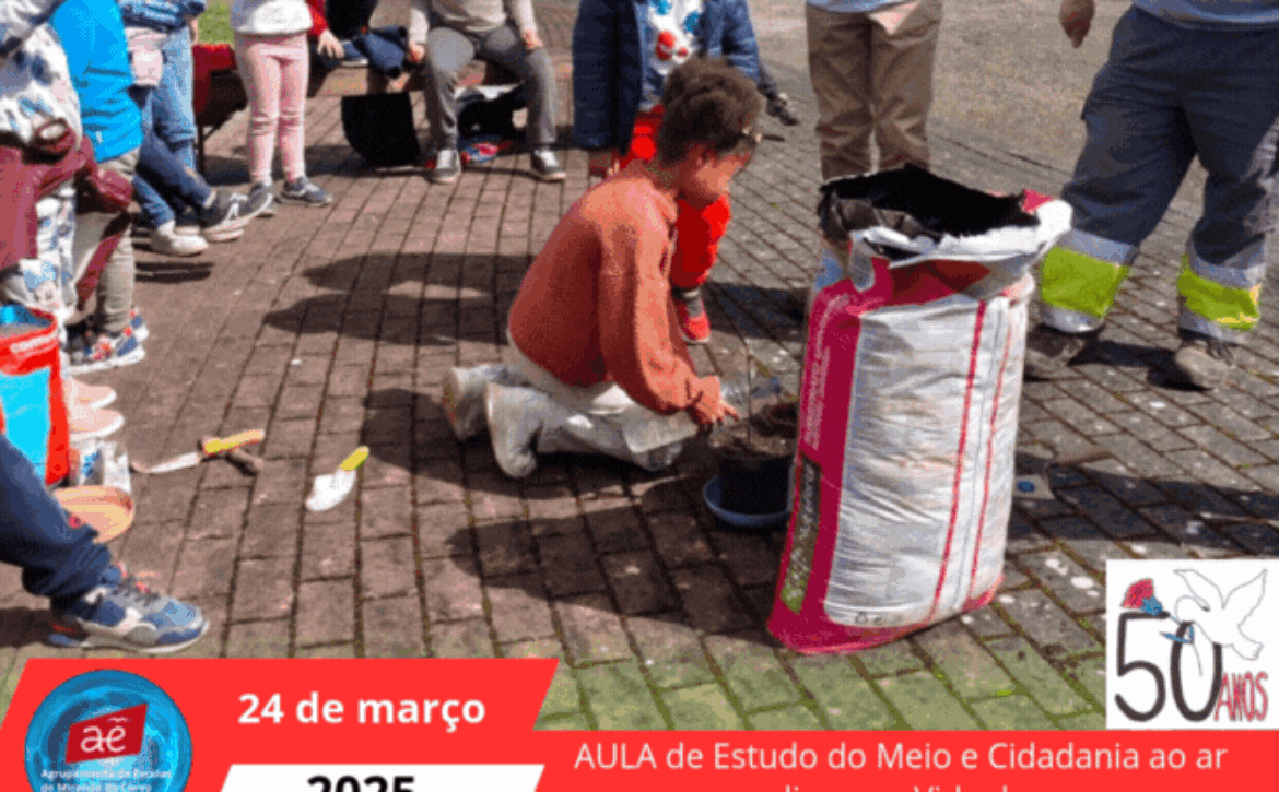 AULA de Estudo do Meio e Cidadania ao ar livre, no Vidual (1)