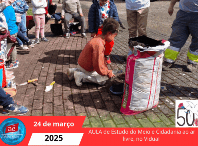 AULA de Estudo do Meio e Cidadania ao ar livre, no Vidual (1)