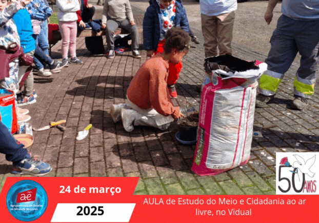 AULA de Estudo do Meio e Cidadania ao ar livre, no Vidual (1)