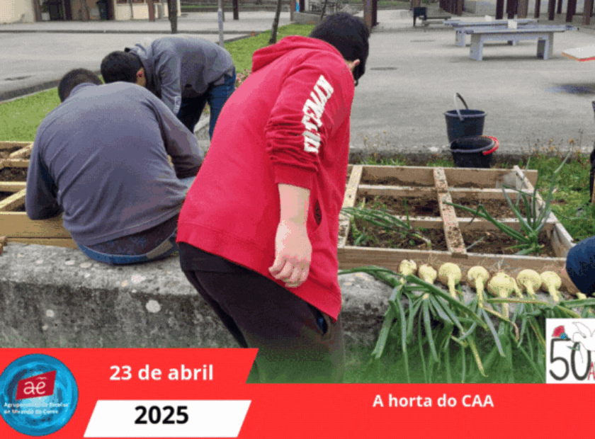 A horta do CAA