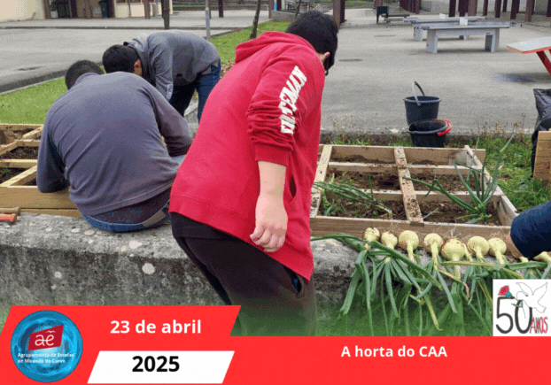 A horta do CAA