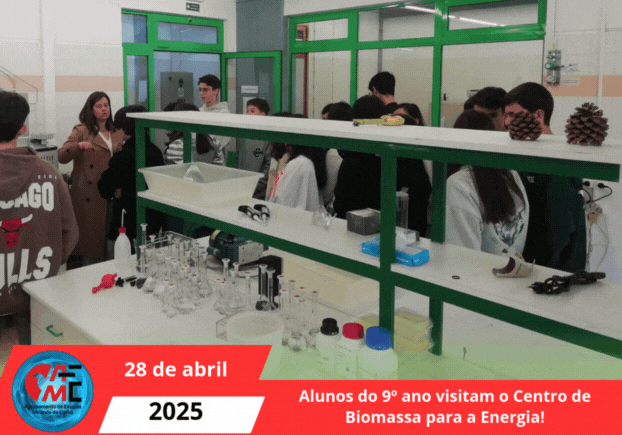 Alunos do 9º ano visitam o Centro de Biomassa para a Energia!