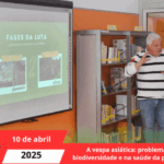 A vespa asiática: problemas na biodiversidade e na saúde da população