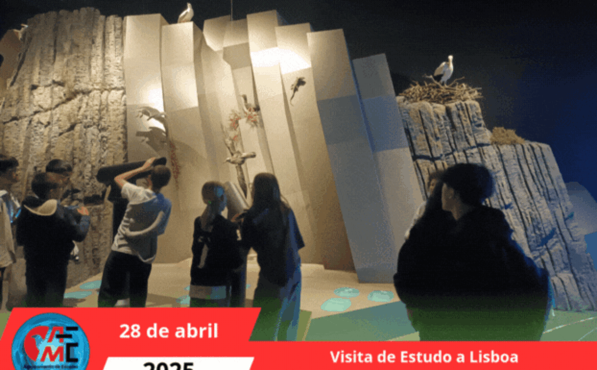 Visita a lisboa