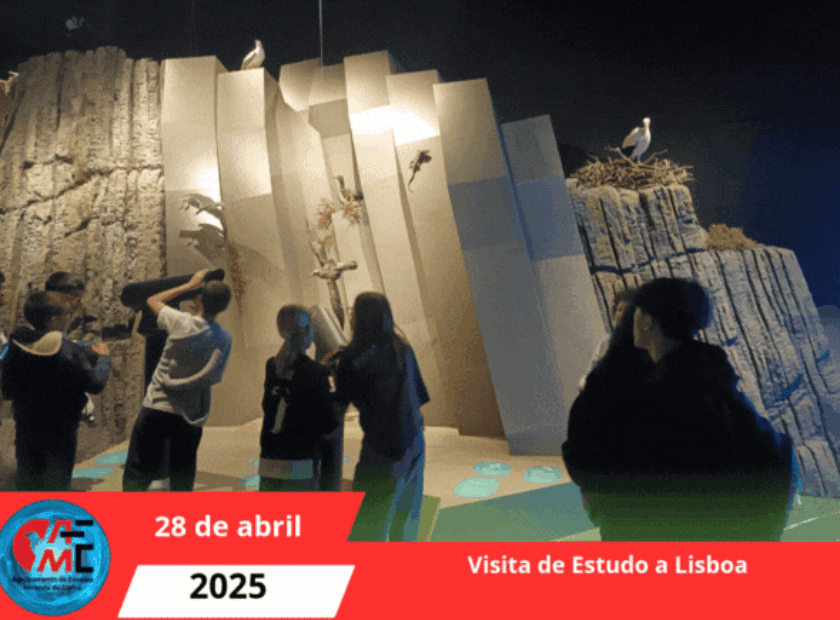 Visita a lisboa