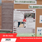 Dia Internacional da Biodiversidade