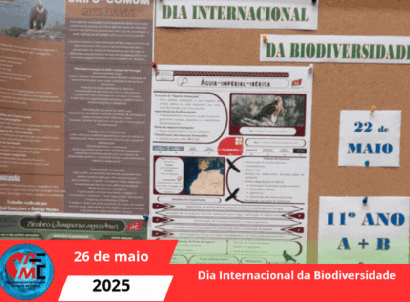 Dia Internacional da Biodiversidade