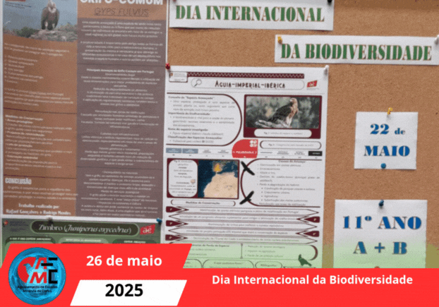 Dia Internacional da Biodiversidade