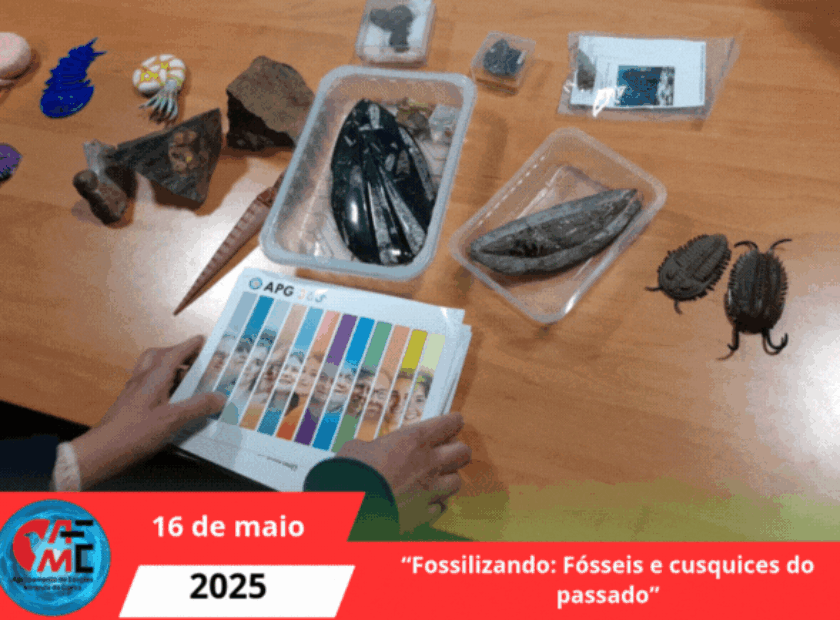 “Fossilizando Fósseis e cusquices do passado”