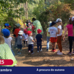 À procura do outono