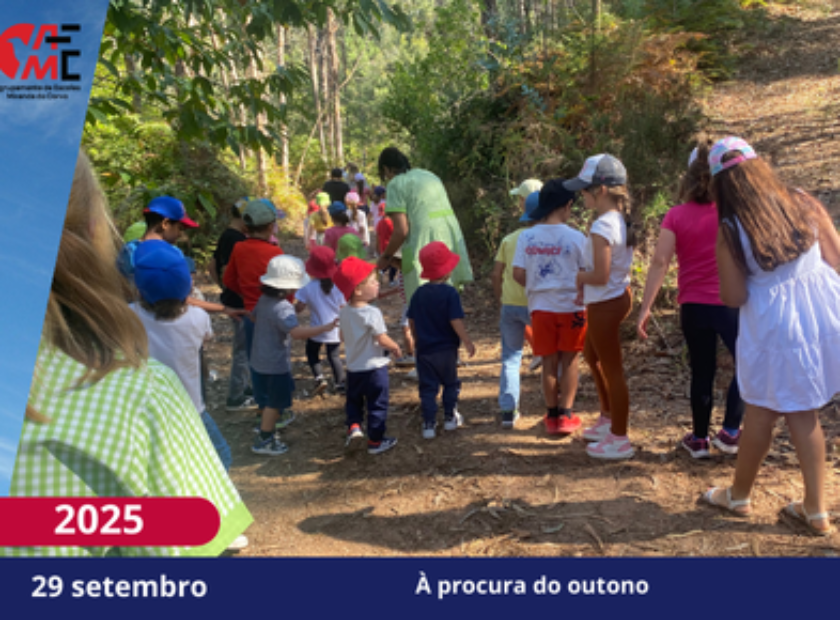 Modelo NotíciasAvisos 2526(3)
