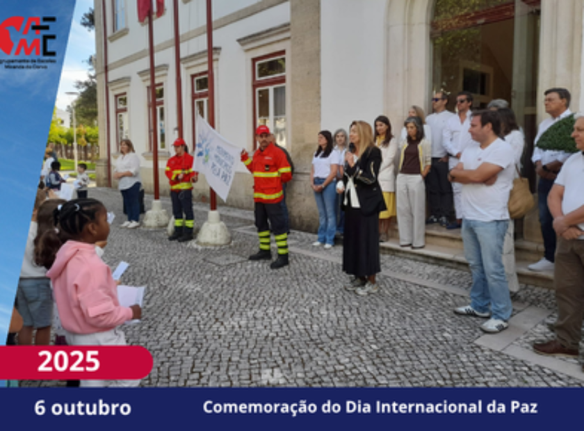 Modelo NotíciasAvisos 2526(6)