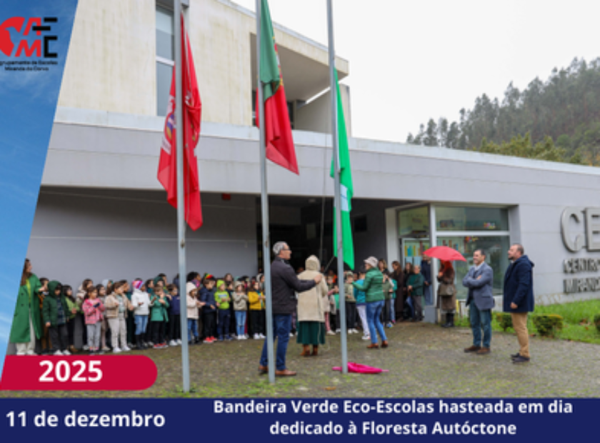 NotíciasAvisos 2526(11)