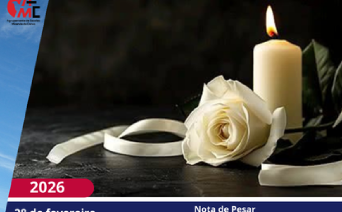 NotíciasAvisos 2526(42)
