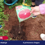 A primavera chegou