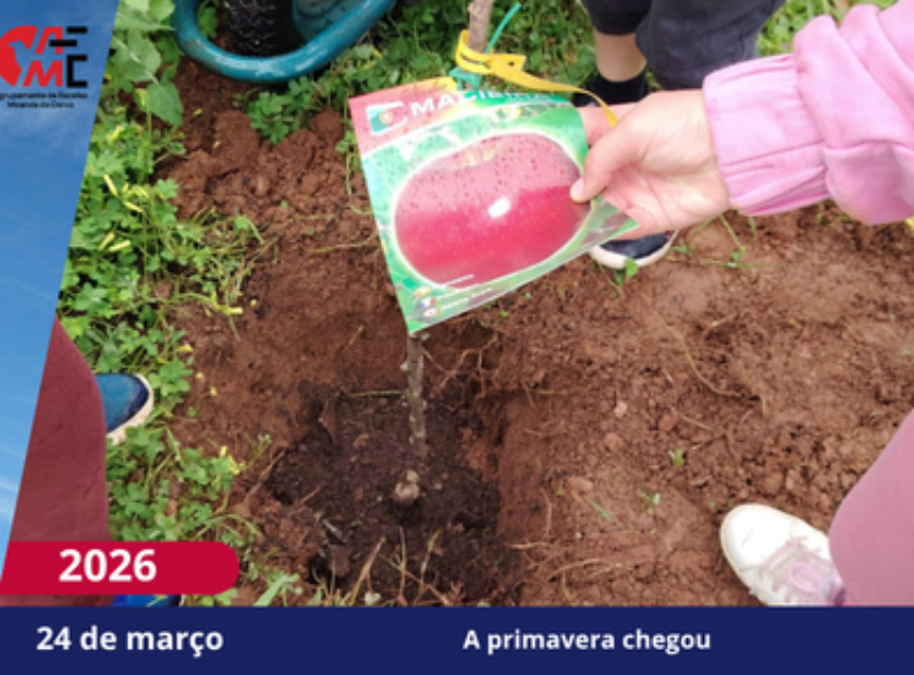 NotíciasAvisos 2526(63)