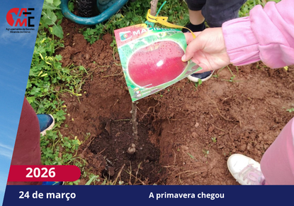 NotíciasAvisos 2526(63)