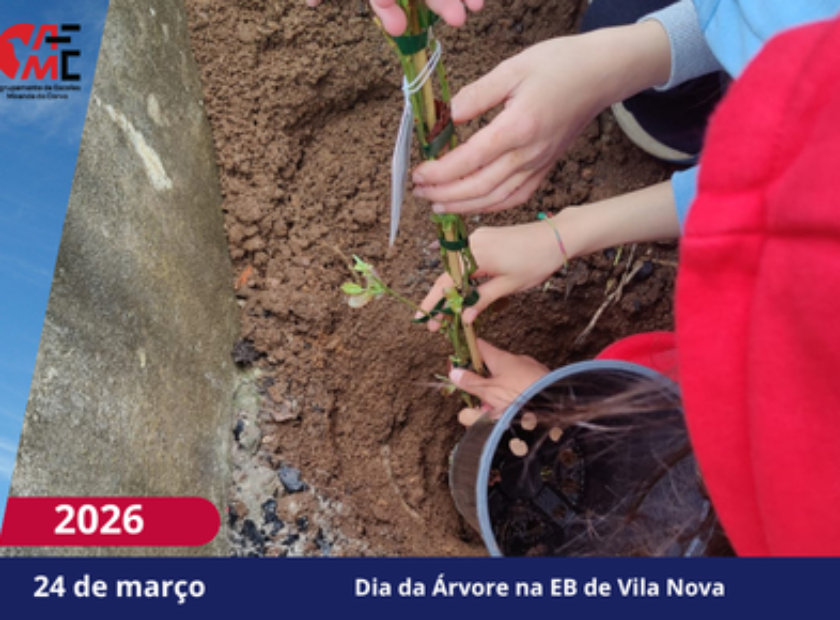 NotíciasAvisos 2526(64)