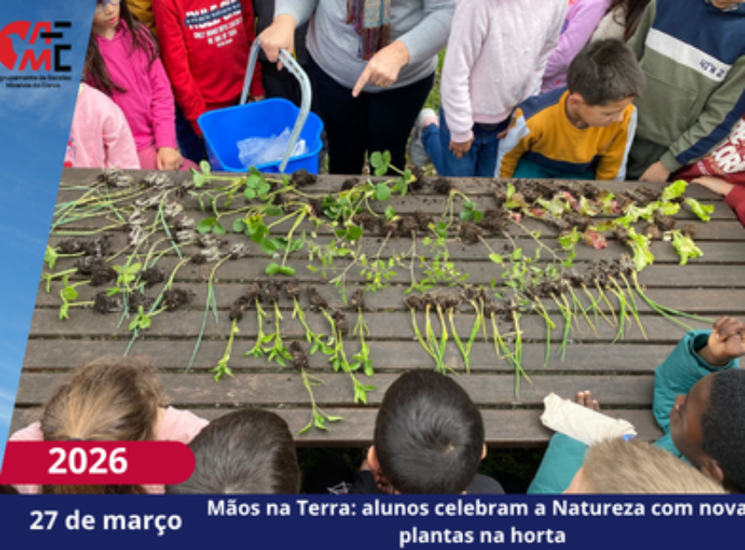 NotíciasAvisos 2526(67)