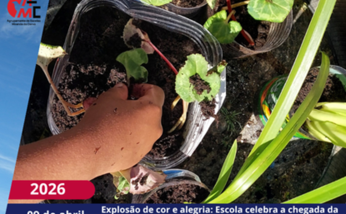NotíciasAvisos 2526(76)